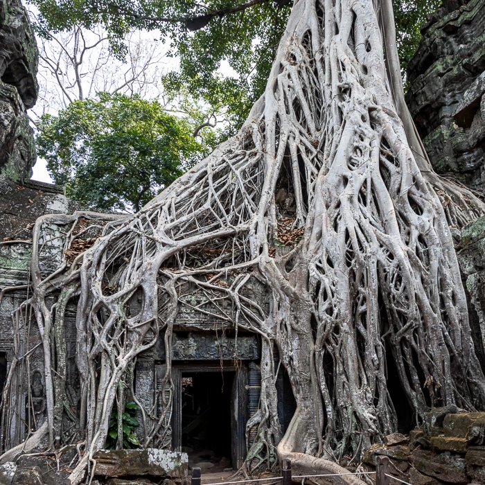 AngkorWat1-11_thumb.webp